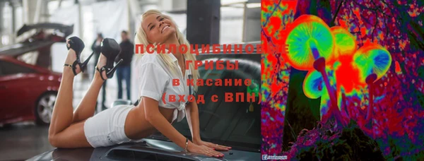 сатива Алексин