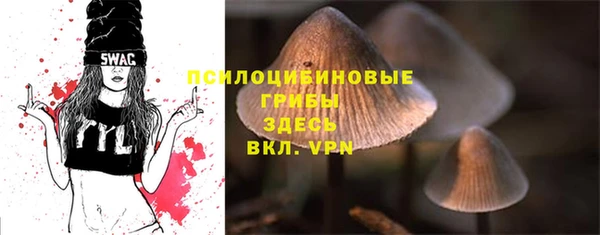 сатива Алексин