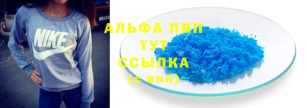 прущие грибы Алзамай