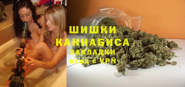 прущие грибы Алзамай